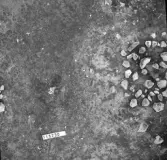 Svedvi sn Rallsta RAÄ 16 Arkeologisk undersökning utförd av Vlm / Henry Simonsson 1960-61.