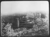 Oscar Janssons album 1899-1919
