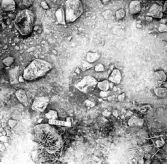 Svedvi sn Rallsta RAÄ 16 Arkeologisk undersökning utförd av Vlm / Henry Simonsson 1960-61.