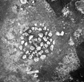 Svedvi sn Rallsta RAÄ 16 Arkeologisk undersökning utförd av Vlm / Henry Simonsson 1960-61.