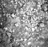 Svedvi sn Rallsta RAÄ 16 Arkeologisk undersökning utförd av Vlm / Henry Simonsson 1960-61.