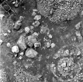 Svedvi sn Rallsta RAÄ 16 Arkeologisk undersökning utförd av Vlm / Henry Simonsson 1960-61.