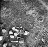 Svedvi sn Rallsta RAÄ 16 Arkeologisk undersökning utförd av Vlm / Henry Simonsson 1960-61.