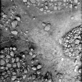 Svedvi sn Rallsta RAÄ 16 Arkeologisk undersökning utförd av Vlm / Henry Simonsson 1960-61.