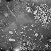 Svedvi sn Rallsta RAÄ 16 Arkeologisk undersökning utförd av Vlm / Henry Simonsson 1960-61.