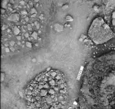 Svedvi sn Rallsta RAÄ 16 Arkeologisk undersökning utförd av Vlm / Henry Simonsson 1960-61.