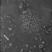 Svedvi sn Rallsta RAÄ 16 Arkeologisk undersökning utförd av Vlm / Henry Simonsson 1960-61.