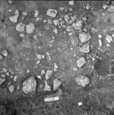 Svedvi sn Rallsta RAÄ 16 Arkeologisk undersökning utförd av Vlm / Henry Simonsson 1960-61.