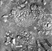 Svedvi sn Rallsta RAÄ 16 Arkeologisk undersökning utförd av Vlm / Henry Simonsson 1960-61.