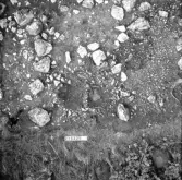 Svedvi sn Rallsta RAÄ 16 Arkeologisk undersökning utförd av Vlm / Henry Simonsson 1960-61.