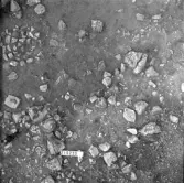 Svedvi sn Rallsta RAÄ 16 Arkeologisk undersökning utförd av Vlm / Henry Simonsson 1960-61.