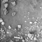 Svedvi sn Rallsta RAÄ 16 Arkeologisk undersökning utförd av Vlm / Henry Simonsson 1960-61.