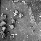 Svedvi sn Rallsta RAÄ 16 Arkeologisk undersökning utförd av Vlm / Henry Simonsson 1960-61.