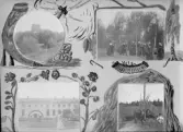 Johns album 1908