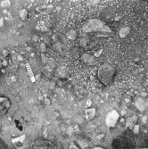 Svedvi sn Rallsta RAÄ 16 Arkeologisk undersökning utförd av Vlm / Henry Simonsson 1960-61.