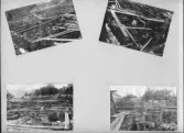 Johns album 1908