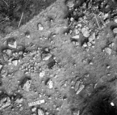 Svedvi sn Rallsta RAÄ 16 Arkeologisk undersökning utförd av Vlm / Henry Simonsson 1960-61.