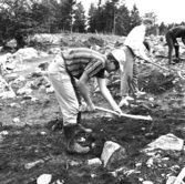 Svedvi sn Rallsta RAÄ 16 Arkeologisk undersökning utförd av Vlm / Henry Simonsson 1960-61.

Tre personer rensar det avtorvade gravfältet.