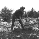 Svedvi sn Rallsta RAÄ 16 Arkeologisk undersökning utförd av Vlm / Henry Simonsson 1960-61.

Arkeologen Eva Simonsson rensar på gravfältet