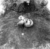 Svedvi sn Rallsta RAÄ 16 Arkeologisk undersökning utförd av Vlm / Henry Simonsson 1960-61.

Lerkärl under utgrävning i anläggning 72.