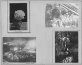 Johns första stora album