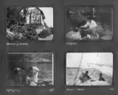 Det första familjealbumet 1916-1924