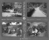 Det första familjealbumet 1916-1924