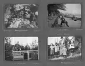 Det första familjealbumet 1916-1924