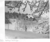 Farfars album 1929-1932