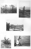 Farfars fiskealbum 1931-1933