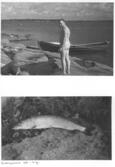 Farfars fiskealbum 1931-1933