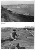 Farfars fiskealbum 1931-1933