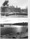 Farfars album 1933-1937