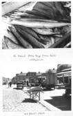 Farfars fiskealbum 1936