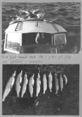 Farfars fiskealbum 1937-1939