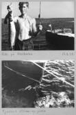 Farfars fiskealbum 1937-1939