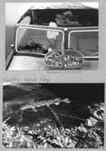 Farfars fiskealbum 1937-1939