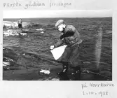 Farfars fiskealbum 1937-1939
