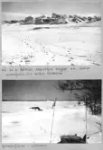 Farfars album; vinterfiske; 1940-1941