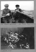 Farfars album; vinterfiske; 1940-1941