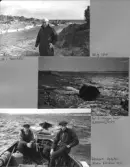 Farfars album; vinterfiske; 1940-1941