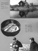 Farfars album; vinterfiske; 1940-1941