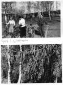 Johns album 1942-1944