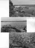 Johns album 1942-1944