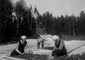 Rensning på odlingslott, 1940-tal