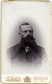 Man med skägg, 1883 efter