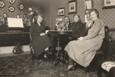 Familjen Larsson på Pettersbergs gård, 1920-tal