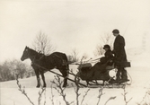 Slädfärd på Pettersbergs gård, 1920-tal