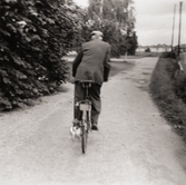 Gustaf Larsson på cykel med påhängsmotor vid Pettersbergs gård, 1940-tal