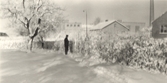Vinter i Pettersberg, 1950-tal